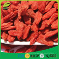 2016 горячая надувательство USDA органическое сертифицированное goji ягода